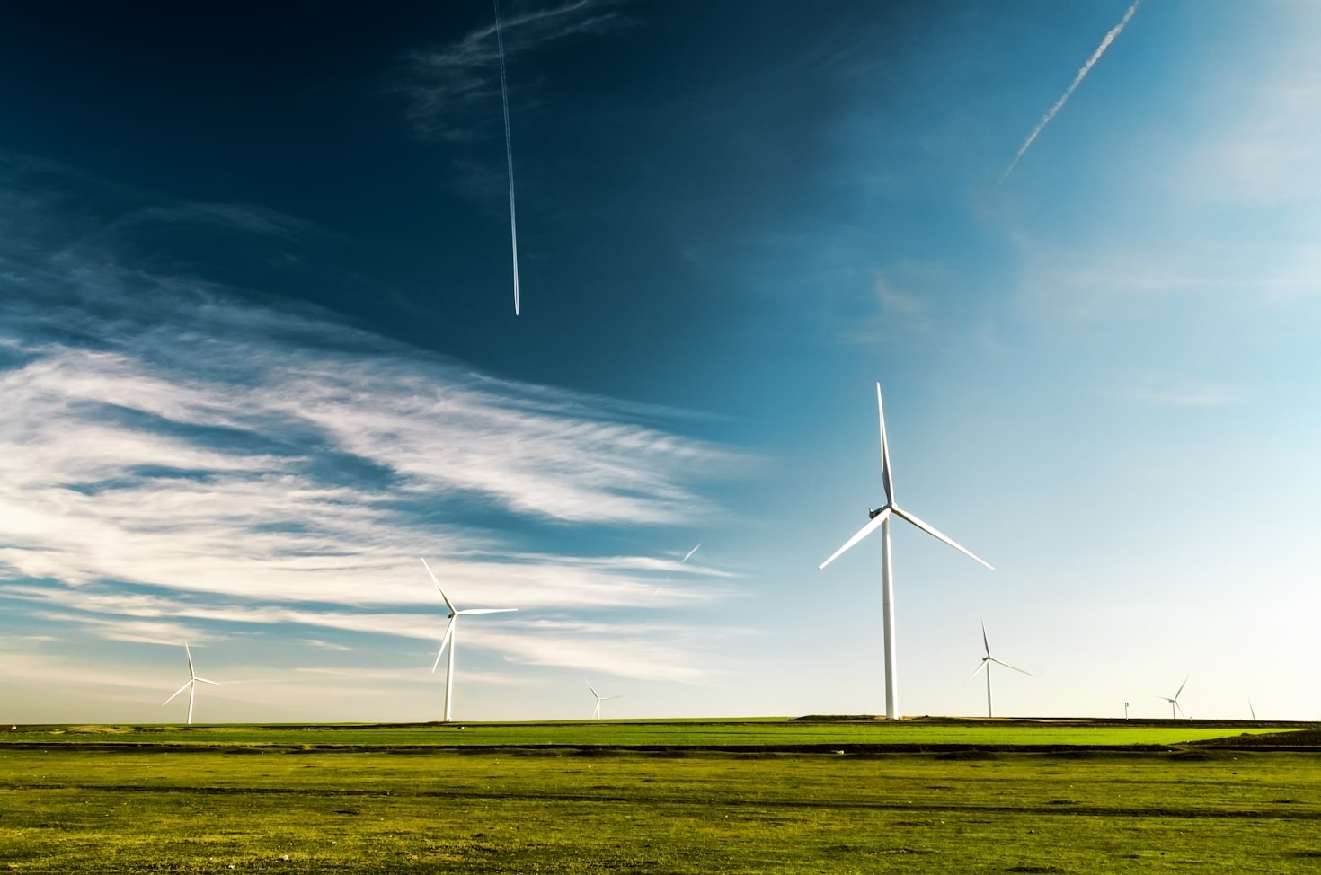 Top Tips for Accessing Government Eco-Grants