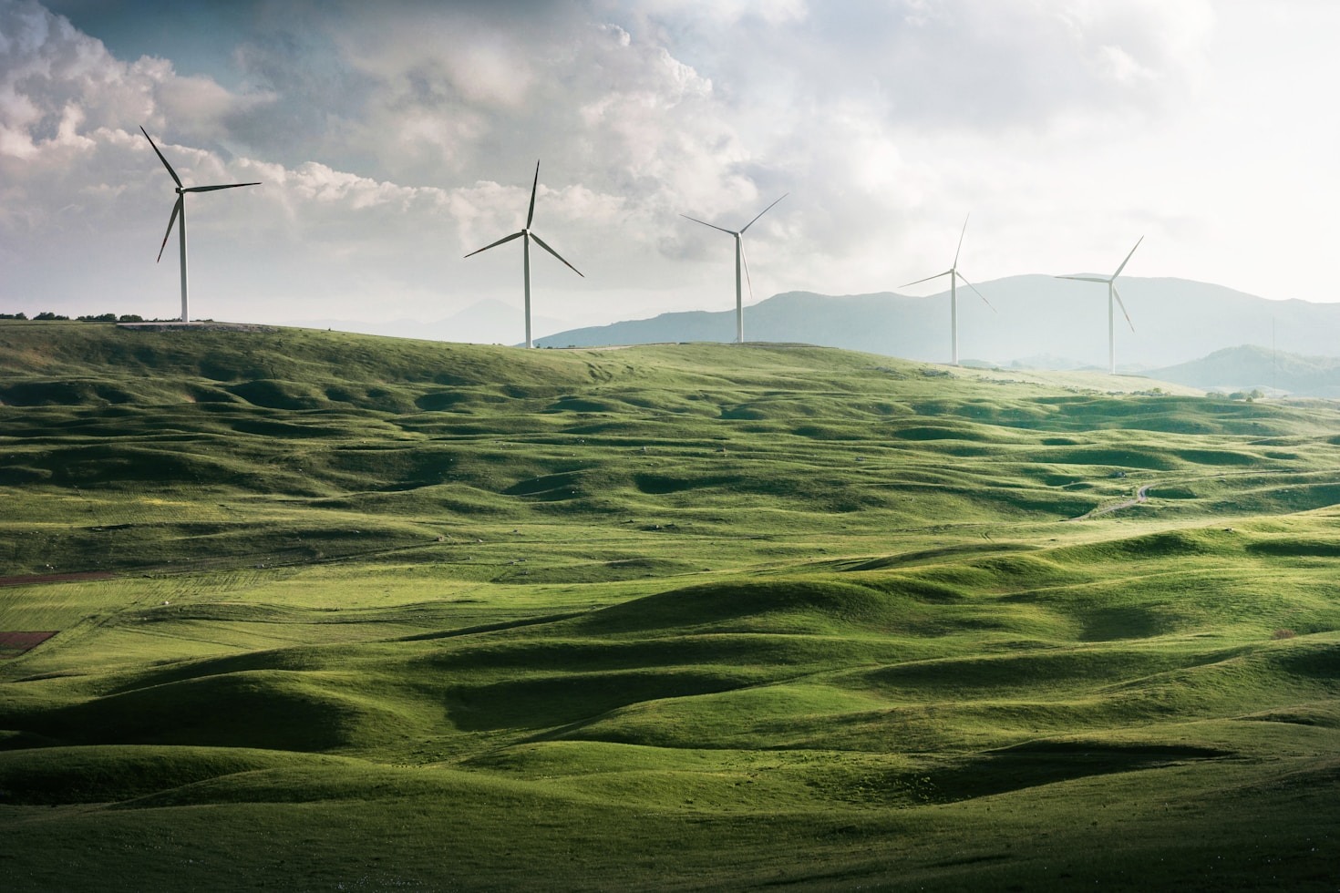 Why Every Household Should Consider Green Solutions